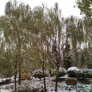 Meet your Posher, Caitlin